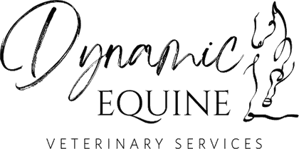 Dynamic Equine Veterinary Services logo